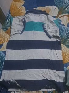 Striped Polo T-Shirt