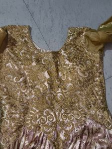 Elegant Ethnic Gown