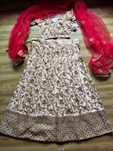 Elegant Embroidered Lehenga Choli Set