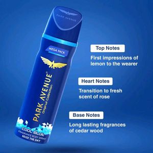 Park Avenue Cool Blue Fragrance Body Spray