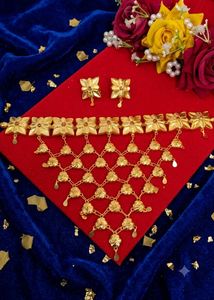 Exquisite Gold-Plated Necklace and Earring Set