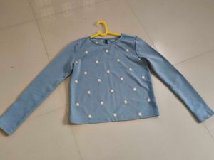 Cute Blue Embroidered Long Sleeve Top