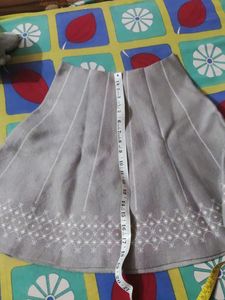 Embroidered A-Line Skirt