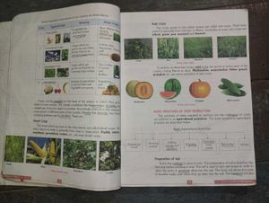 Prachi Science In-depth Book Class 8
