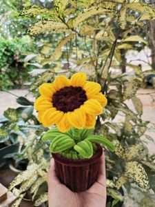 sunflower pot