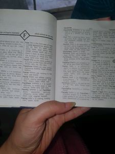 English To Hindi Dictionary