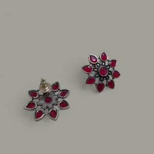 Sliver Polish Light Weight Matte Finish Earning