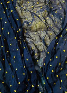 Stunning Navy Blue Embroidered Set