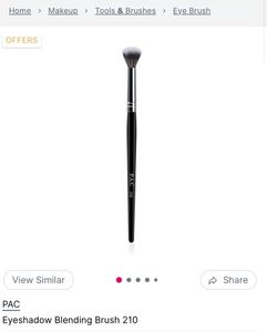 PAC 210 Makeup Brush