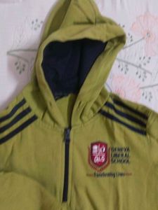 Vintage Geneva Liberal School Hoodie