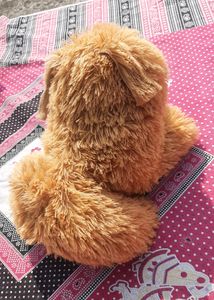 Soft Toy Dog