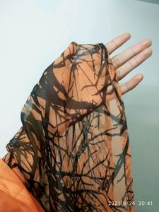 scarf
