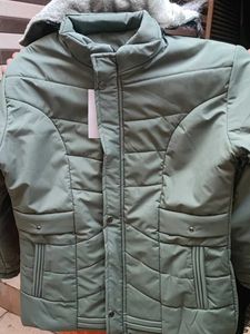 Olive Green Padded Winter Jacket