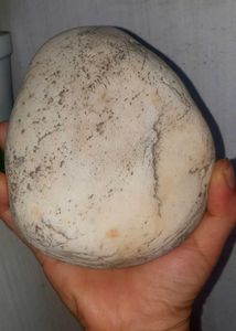 Unique Natural River Stone