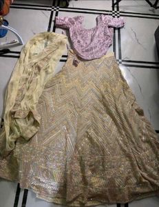 Sparkling Lehenga Choli Set