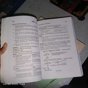 12th Ncert Solution Textbook
