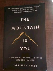 THE MOUNTAIN IS YOU BY BRIANNA WIEST