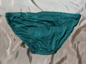 Teal Green Briefs