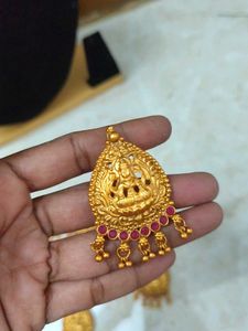 matt finish  Lakshmi jada pin accessories Set 9
