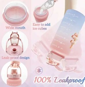 Gradient Water Bottle with Handle