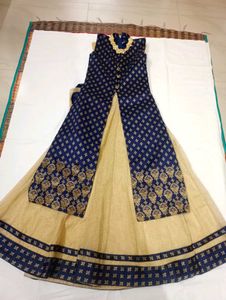 Elegant Lehenga Choli Set
