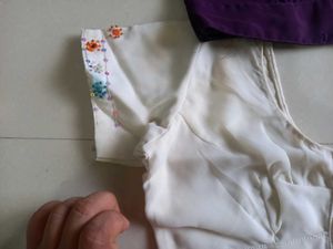 Collection of Indian Blouses - Various Colors