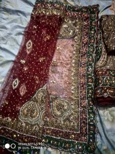 Brindal Lehenga Beautiful Colour