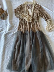 Elegant Lace dress