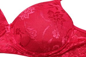 New Lace net padded bra Comfortable Everyday -