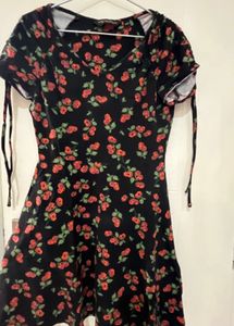 Brand New Dorothy Perkins Fit N Flare Dress