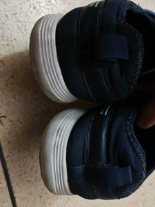combo campus shoes and flats