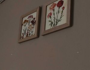 Set of 2 Botanical Framed Prints