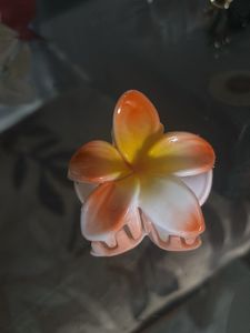 6 Floral Hair Clips and Bow