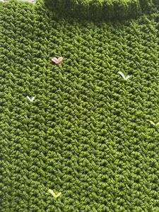 Handmade Green Crochet Top