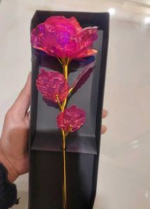 Iridescent Galaxy Rose