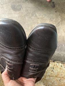 Zara Gents Shoes- Brown