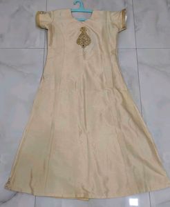 Elegant Ethnic Gown