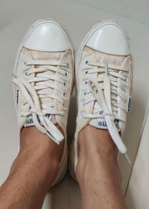 Superdry Cream Canvas Sneakers