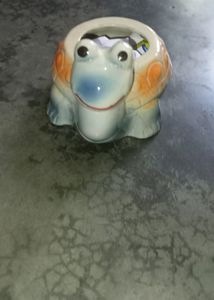 turtle succulent planter