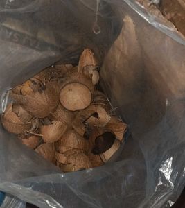 raw material coconut shell