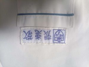 Japanese/chinese Sailor Top