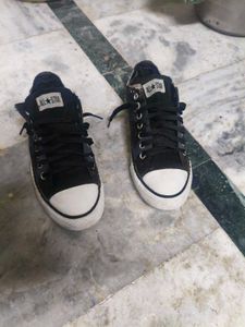 Converse Low Top Sneakers