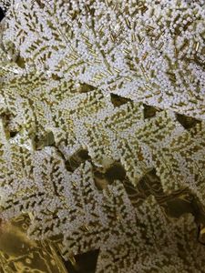 Exquisite Beaded Trim lace for dress