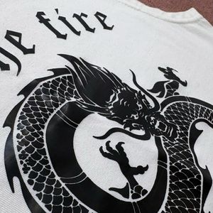 Urbanic | Y2K Graphic Dragon Crop Top