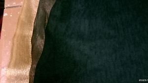 Black Net , golden Border,Full Length Dupatta