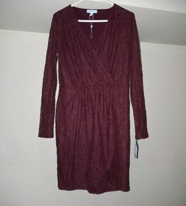 Wine Color Long Sleeves Short Dress For Women