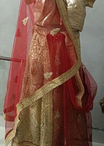 Stunning Golden &amp; Red Lehenga Choli