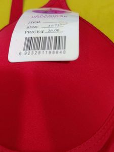 304 -- Vibrant soft padded Bra