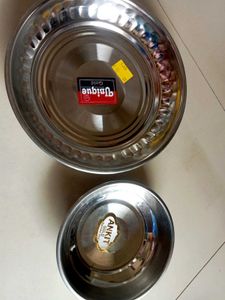 Stainless Steel Plates (Set of 2)
