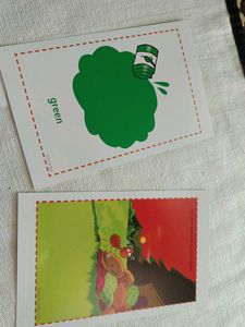 New Flash Cards